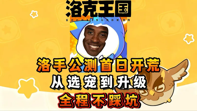 洛手公测首日开荒，从选宠到快速升级全程不踩坑，直接遥遥领先所有人！