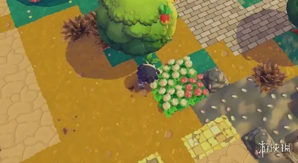 《宝可梦Pokopia》茸茸花田栖息处解锁攻略-详细步骤与材料说明