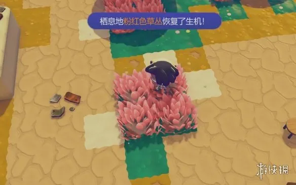 《宝可梦Pokopia》粉红色草丛栖息处解锁攻略