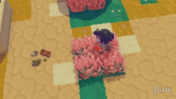 《宝可梦Pokopia》粉红色草丛栖息处解锁攻略-粉红色高草摆放详解