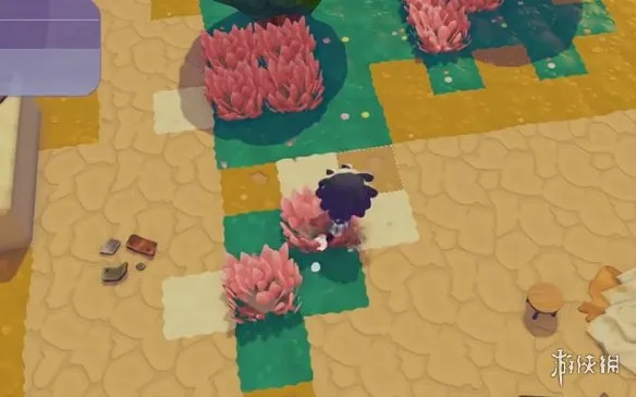 《宝可梦Pokopia》粉红色草丛栖息处解锁攻略