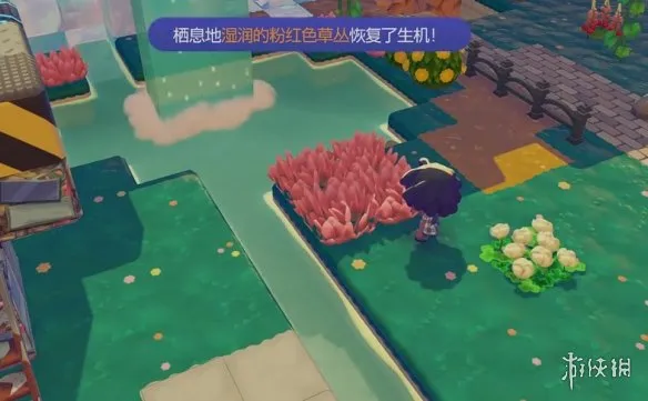 《宝可梦Pokopia》湿润的粉红色草丛栖息处解锁指南