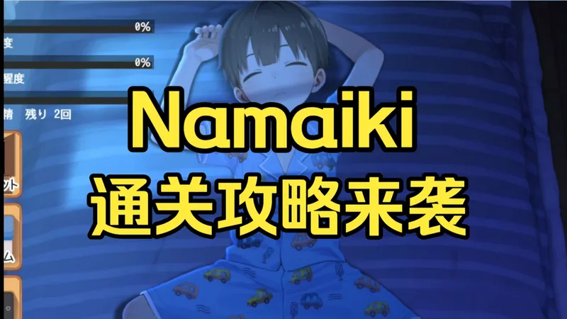 老司机不迷路~【Namaiki】晚上偷偷干坏事~通关攻略震撼来袭！！多端支持速来~