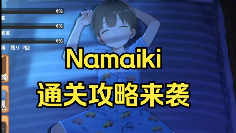 人气经典作品推荐~【Namaiki】晚上偷偷干坏事-通关攻略来袭，全网最全~支持多端！-480P 标清-AVC