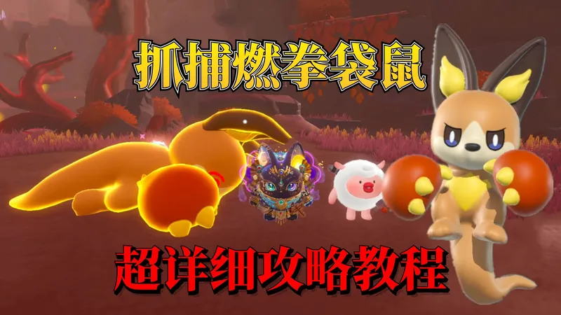 蛋仔派对神奇艾比：燃拳袋鼠超详细手把手单刷攻略教程！