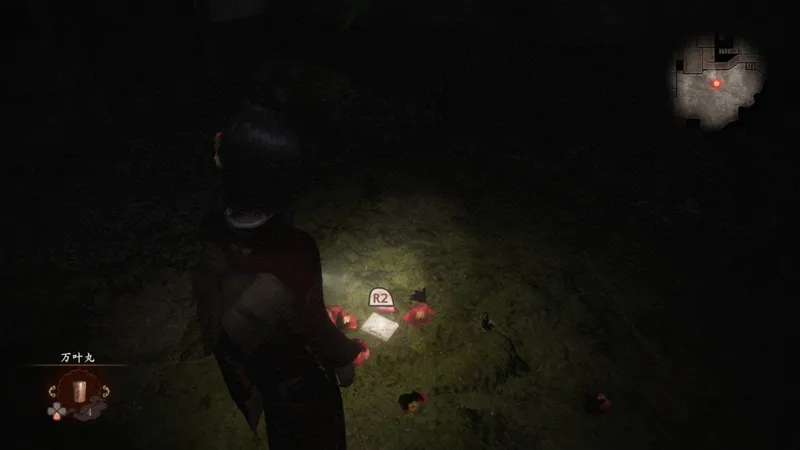 《零红蝶：重制版》黑泽八重任务攻略