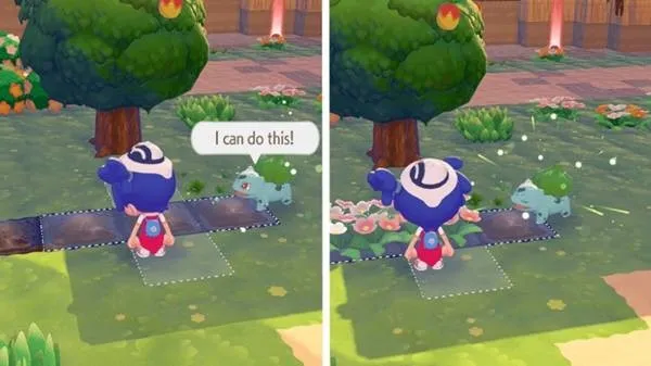 《宝可梦Pokopia》种田攻略