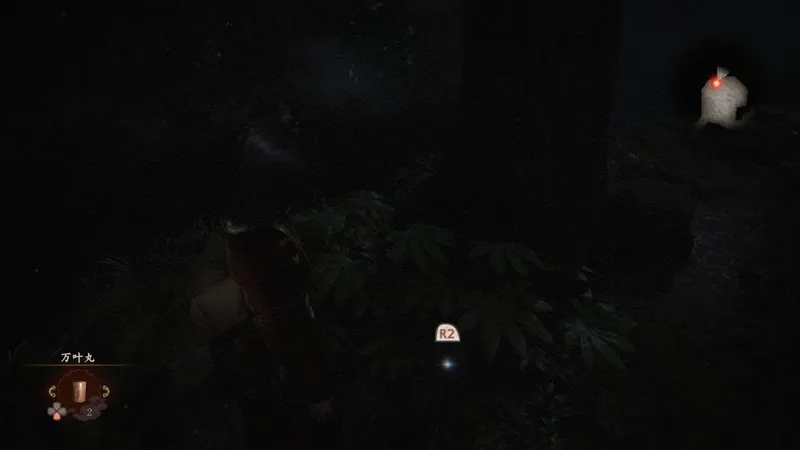 《零红蝶：重制版》天苍茧任务攻略