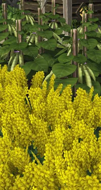 《海狸浮生记》即食食品详解