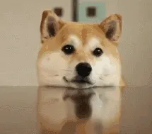 《纳克园：最后的乐园》封测评测