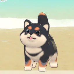 《星砂岛》BOBO送礼指南