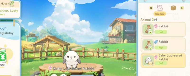 《星砂岛》新月送礼指南-新月喜好礼物详解