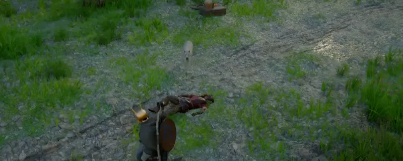 《红色沙漠》宠物获取攻略