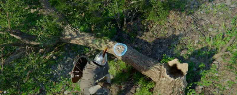 《红色沙漠》砍树方法详解-伐木斧头使用技巧