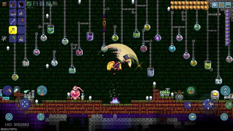 《泰拉瑞亚》十四年持续更新