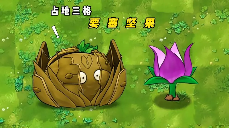 要塞坚果：泰坦紫百合融合，三格防御到底有多强？