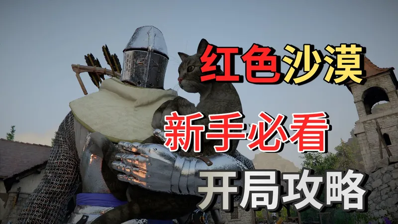 【红色沙漠】（饰品/宠物/武器/护甲）新手必看的开局攻略！！！（陆续更新）