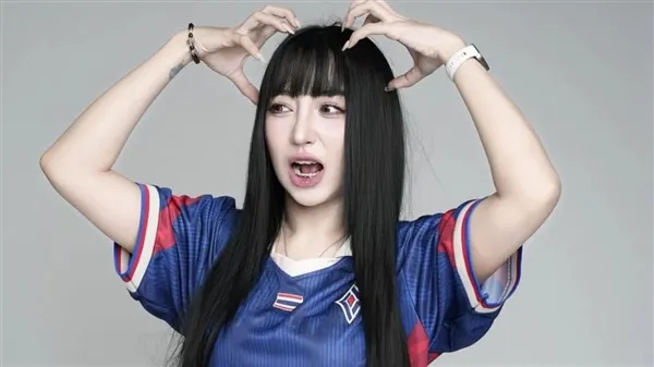 《王者荣耀》泰国女选手代打案宣判-判处3个月监禁