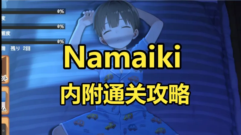 做梦模拟器【Namaiki】晚上偷偷干坏事-内附通关攻略！安卓pc整合分享！！一键存！！