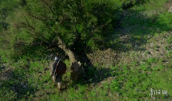 《红色沙漠》砍树技巧详解-伐木斧获取与操作指南