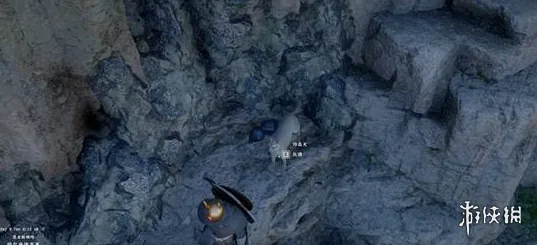 《红色沙漠》召唤伙伴全攻略-可控队友与宠物召唤方法详解