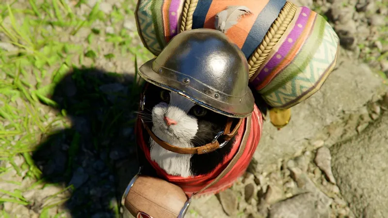 《红色沙漠》开发商改口