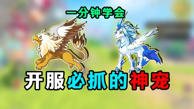 一分钟学会！开服就领先别人两只极品神宠！