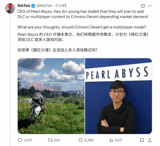 《红色沙漠》未来规划