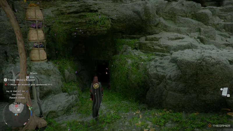 《红色沙漠》神秘松茸获取攻略