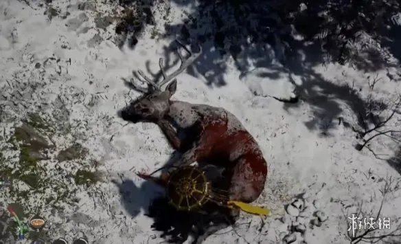 《红色沙漠》传说中的动物介绍