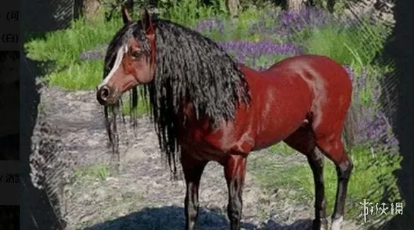 《红色沙漠》传说中的动物介绍