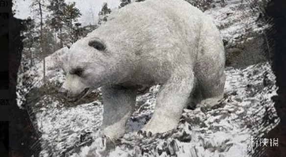 《红色沙漠》传说中的动物介绍