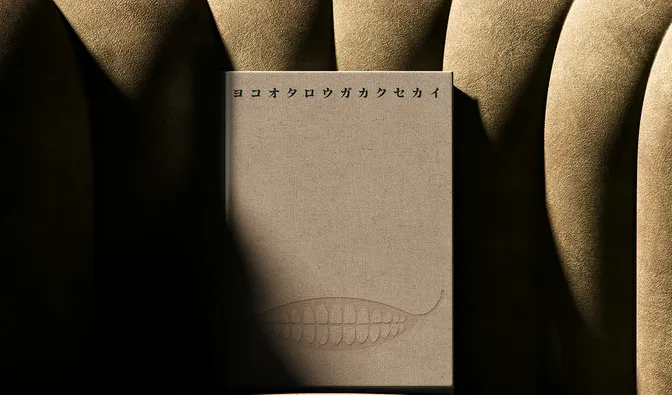 《尼尔：机械纪元》横尾太郎游戏观书籍众筹开启