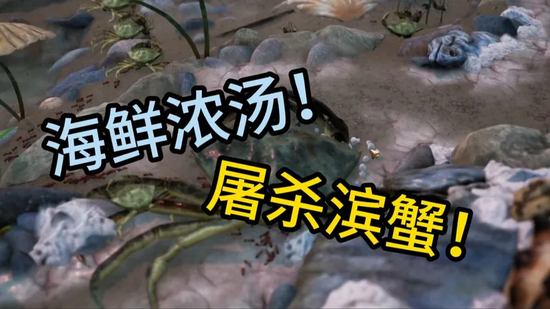 蚂蚁大战滨蟹!海鲜浓汤极限难度攻略!【地下蚁国】