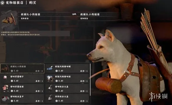 《红色沙漠》宠物盔甲装备方法详解-宠物防具购买与穿戴指南