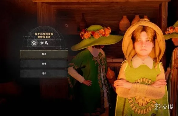 《红色沙漠》宠物防具获取指南