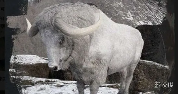 《红色沙漠》传说生物位置解锁攻略