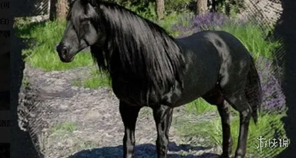 《红色沙漠》传说生物位置解锁攻略-全方位获取方法详解