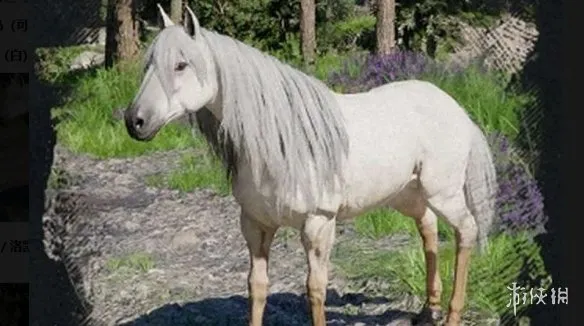 《红色沙漠》传说中的动物介绍-驯服与稀有材料详解