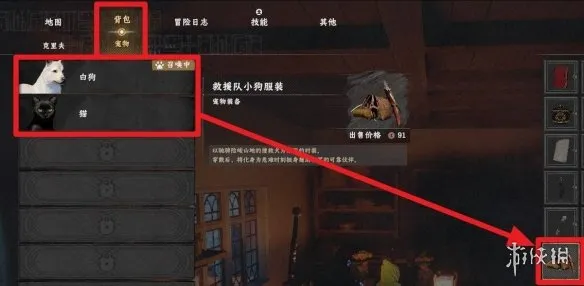 《红色沙漠》宠物盔甲装备方法详解