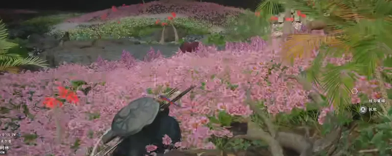 《红色沙漠》传奇马卡莫拉获取攻略
