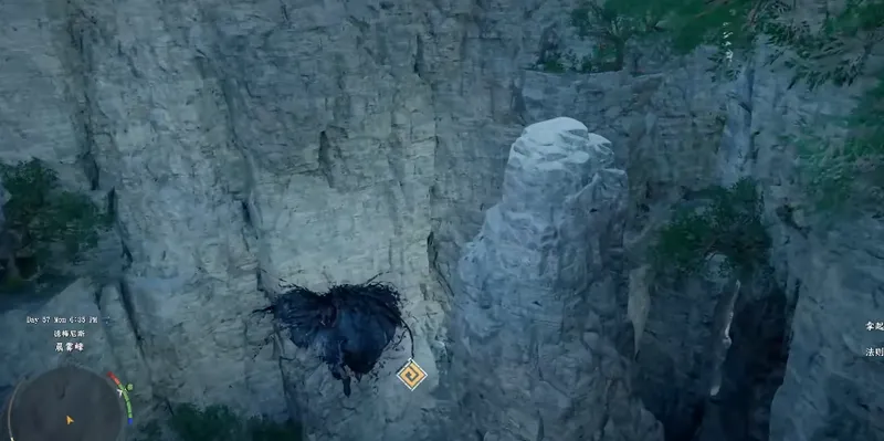 《红色沙漠》东方女巫的扇子获取攻略