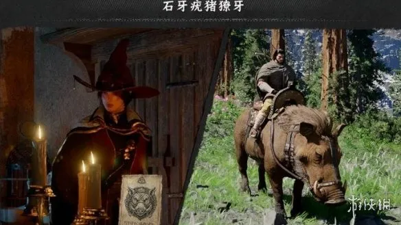 《红色沙漠》石牙疣猪坐骑获取攻略