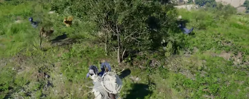 《红色沙漠》瞄准命运的弦任务攻略-挑战任务完成方法详解