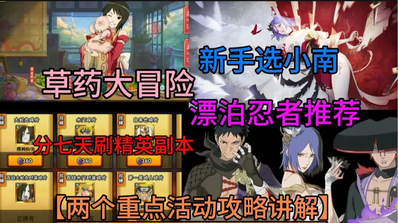 【两个重点活动攻略】草药大冒险多升战力！漂泊忍者推荐！新手选择小南