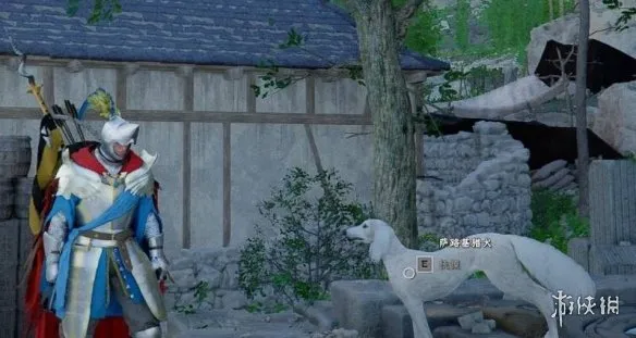 《红色沙漠》萨路基猎犬位置详解