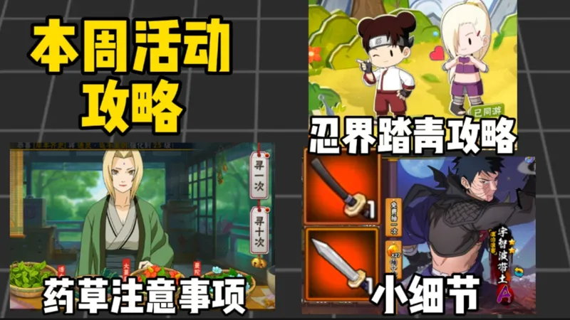 本周活动攻略！多拿几百金币？药草大冒险注意事项！ 忍界踏青攻略！