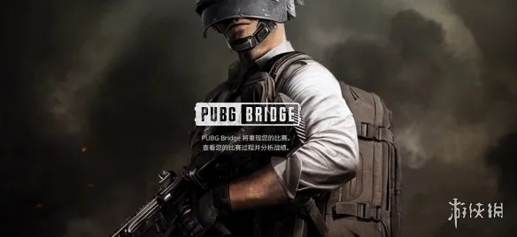《PUBG》星际乱斗模式排名查看方法-官方Bridge网站查询指南