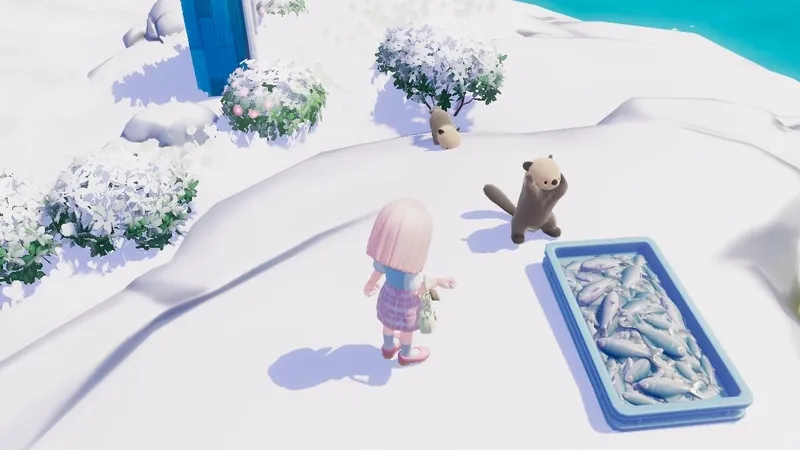 《心动小镇》海獭介绍