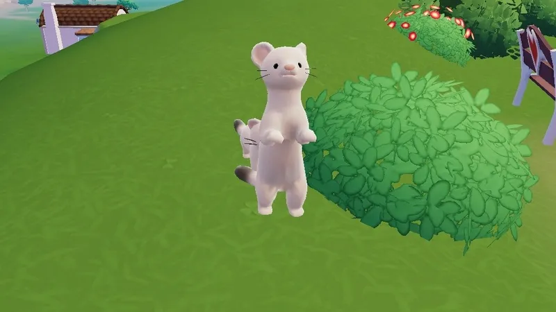 《心动小镇》雪貂介绍